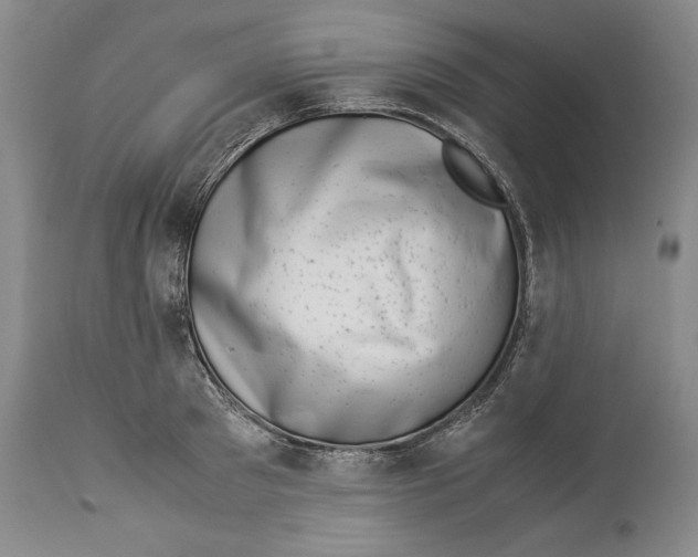 X0000113990897200910231727