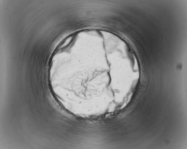 X0000113990899200910231727