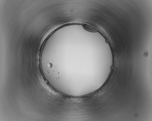 X0000113990900200910231727