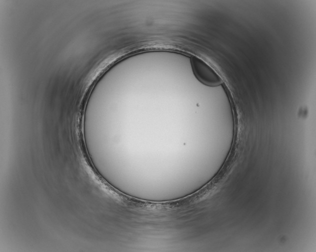 X0000113990901200910231727