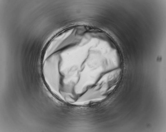 X0000113990902200910231727