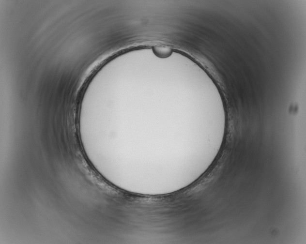 X0000113990904200910231727