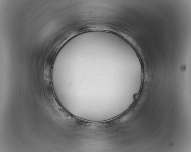 X0000113990905200910231727