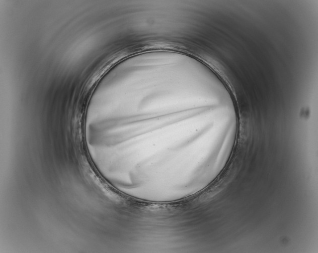 X0000113990906200910231727