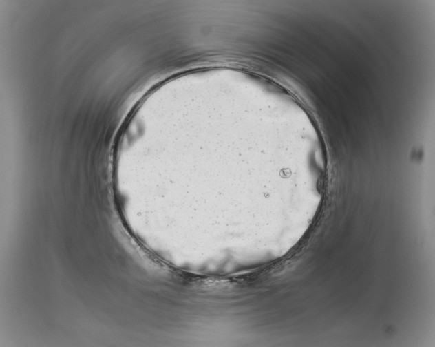 X0000113990907200910231727