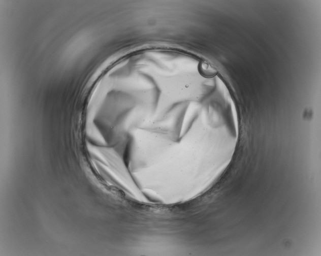 X0000113990911200910231727