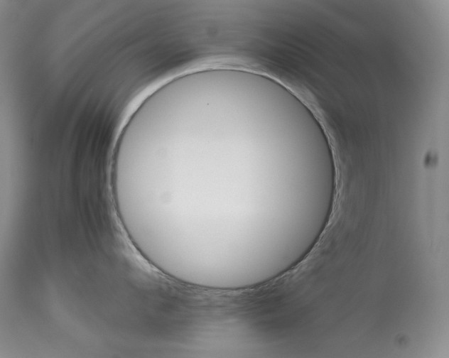 X0000113990912200910231727