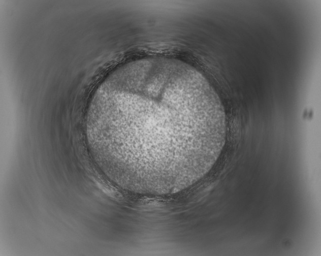 X0000113990913200910231726