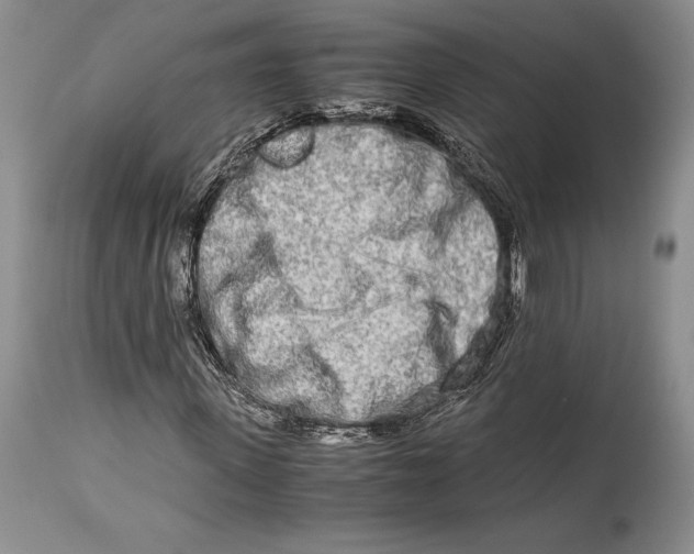 X0000113990915200910231726