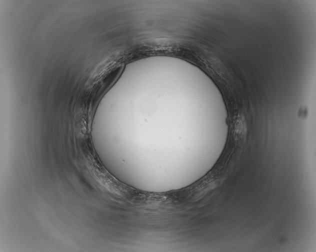 X0000113990916200910231726