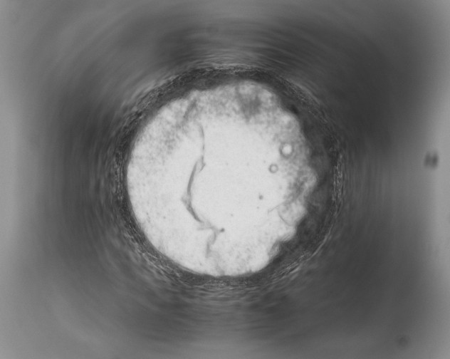 X0000113990917200910231726