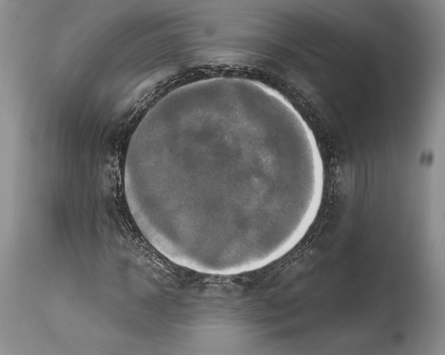 X0000113990918200910231726