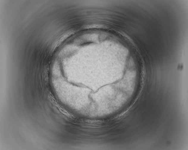 X0000113990921200910231726