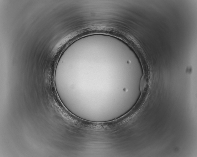 X0000113990922200910231726