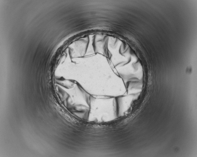 X0000113990923200910231726