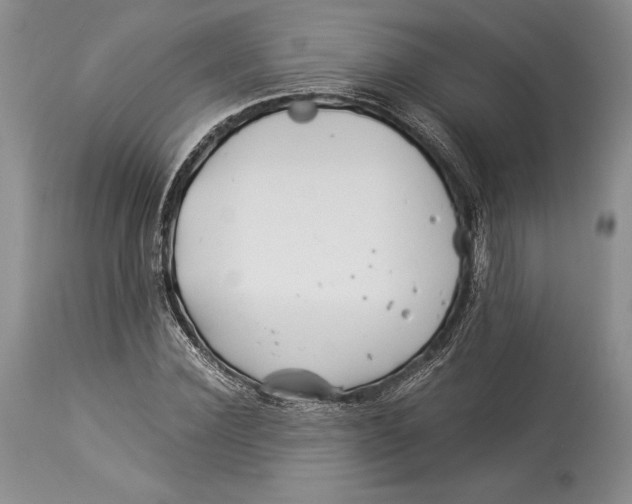 X0000113990924200910231726