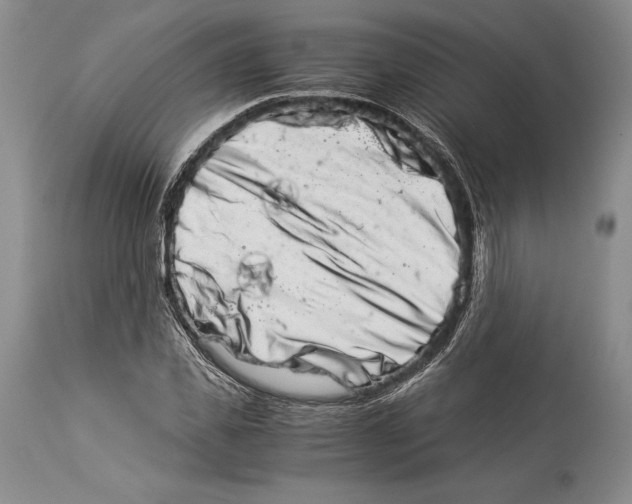 X0000113990925200910231726