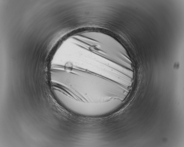 X0000113990926200910231726