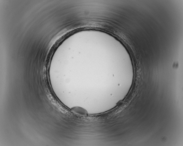 X0000113990928200910231726