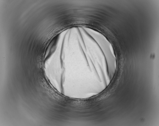 X0000113990929200910231726