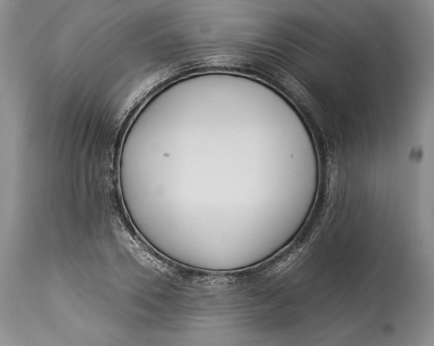 X0000113990930200910231726