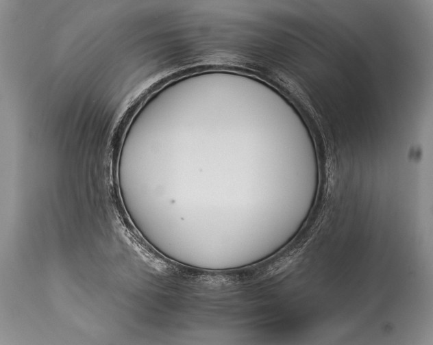 X0000113990931200910231726