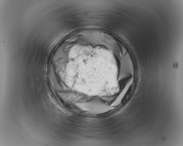 X0000113990933200910231726