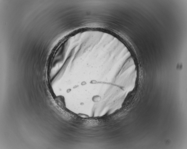 X0000113990935200910231726