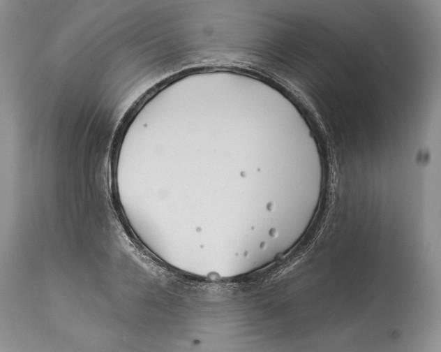 X0000113990936200910231726