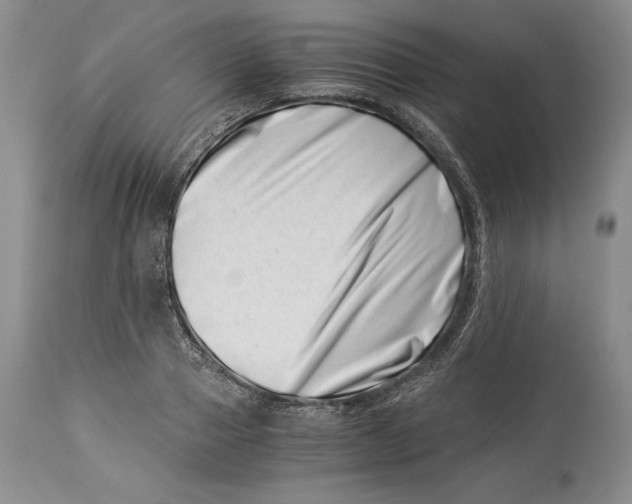 X0000113990937200910231726