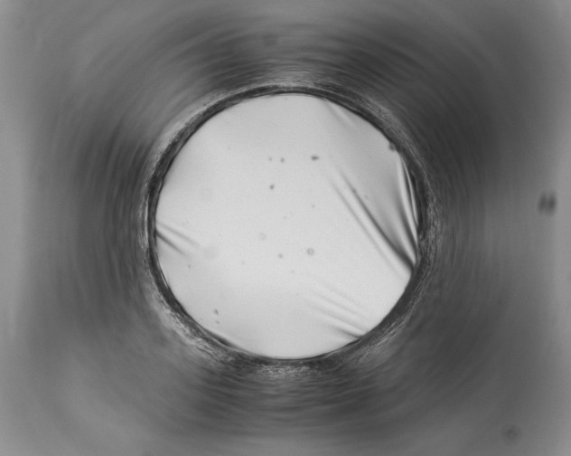 X0000113990939200910231726