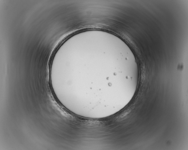 X0000113990940200910231726