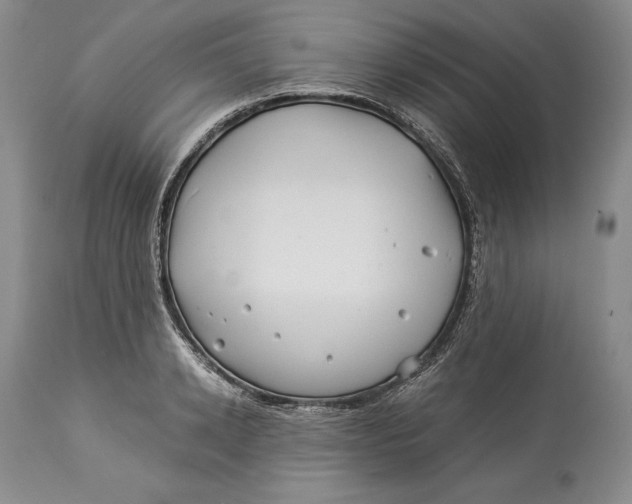 X0000113990942200910231726