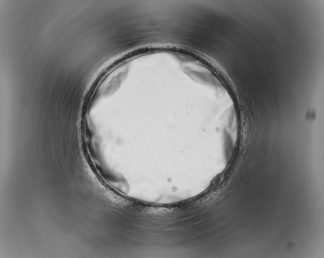 X0000113990943200910231726