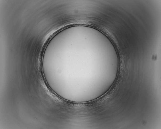 X0000113990944200910231726