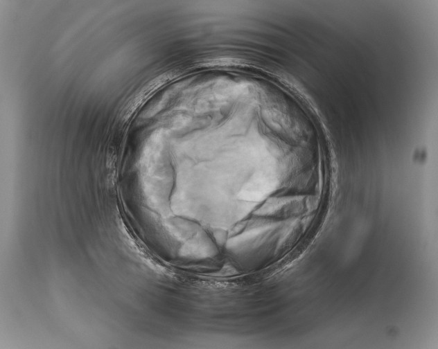 X0000113990945200910231726