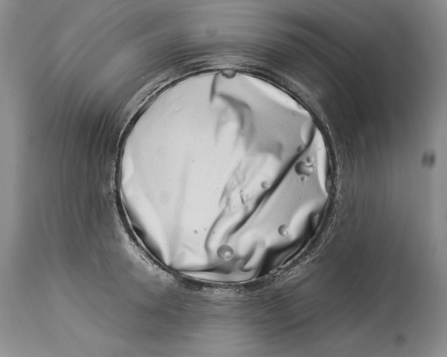 X0000113990946200910231726