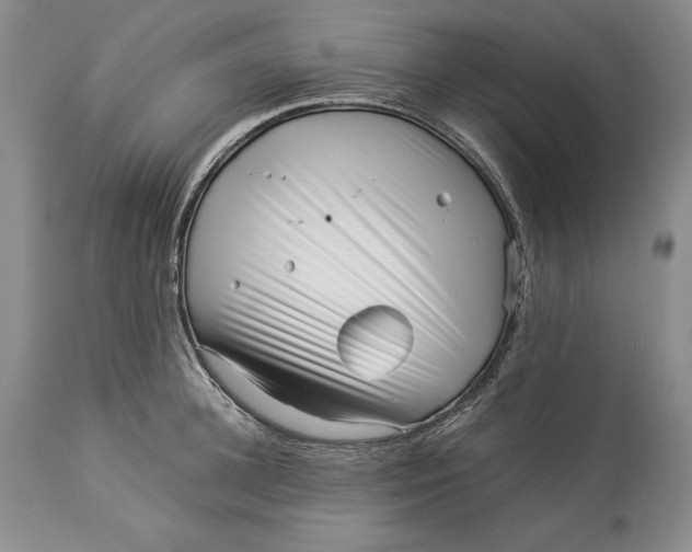 X0000113990948200910231726