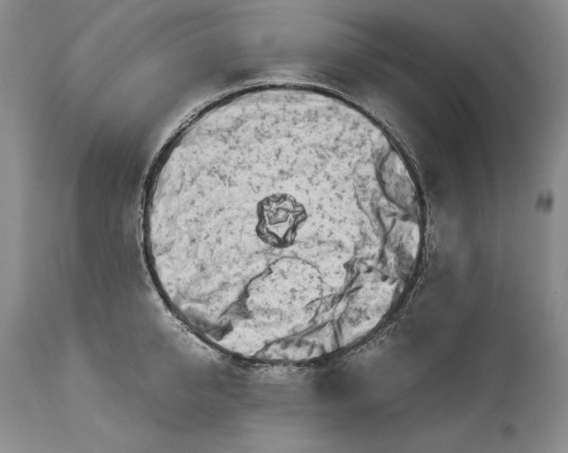 X0000113990950200910231727