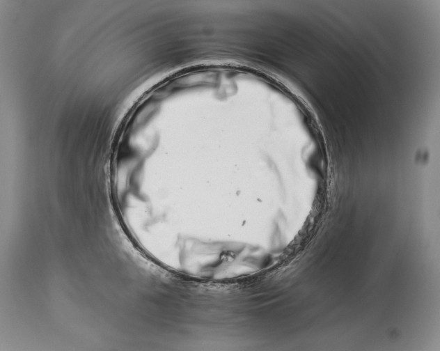 X0000113990951200910231727