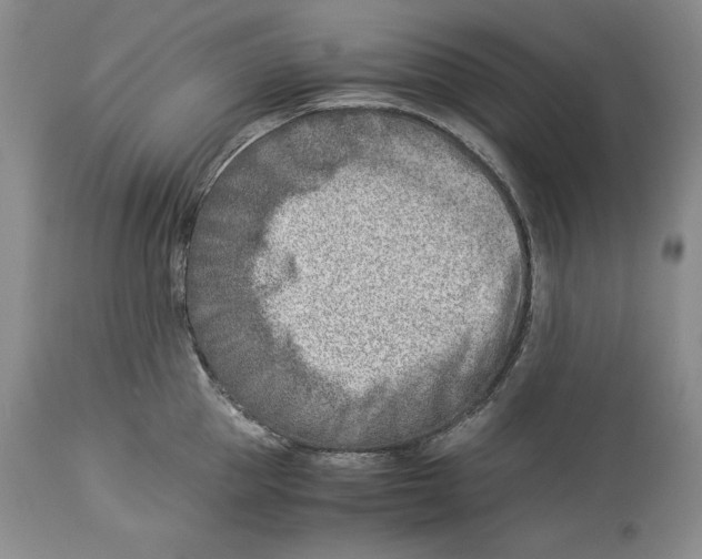 X0000113990953200910231727