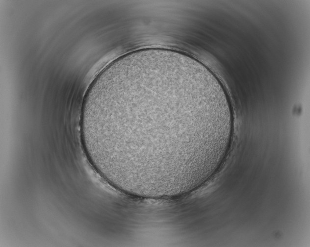 X0000113990954200910231727