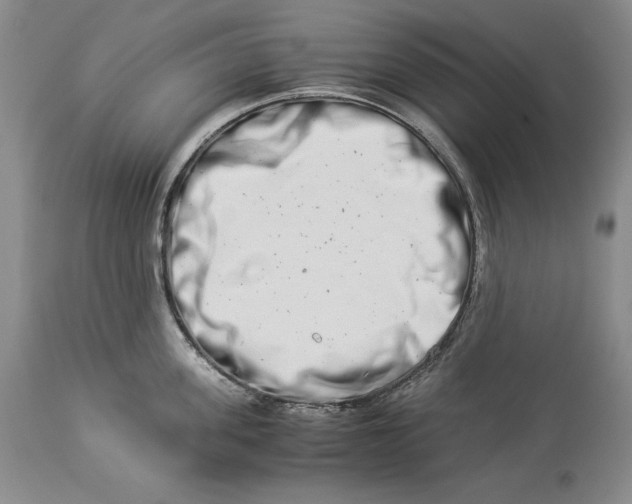 X0000113990955200910231727