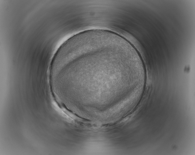 X0000113990958200910231727