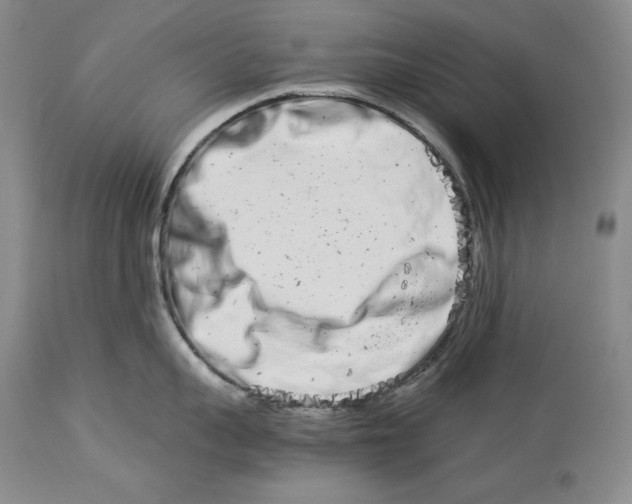 X0000113990959200910231727