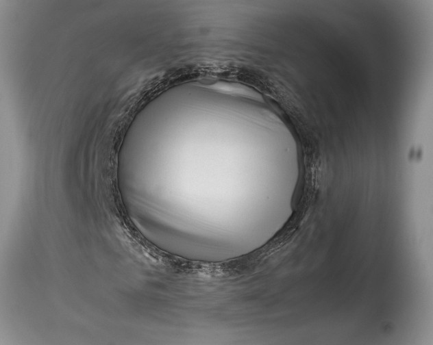 X0000113990961200910231726