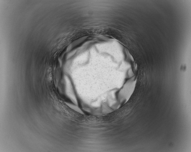 X0000113990962200910231726