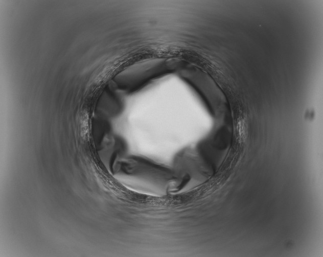 X0000113990963200910231726