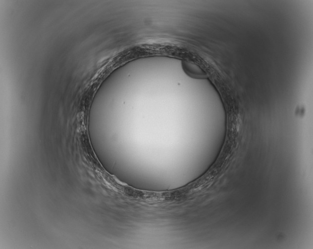 X0000113990965200910231726