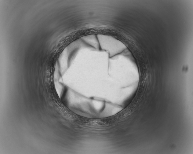 X0000113990966200910231726